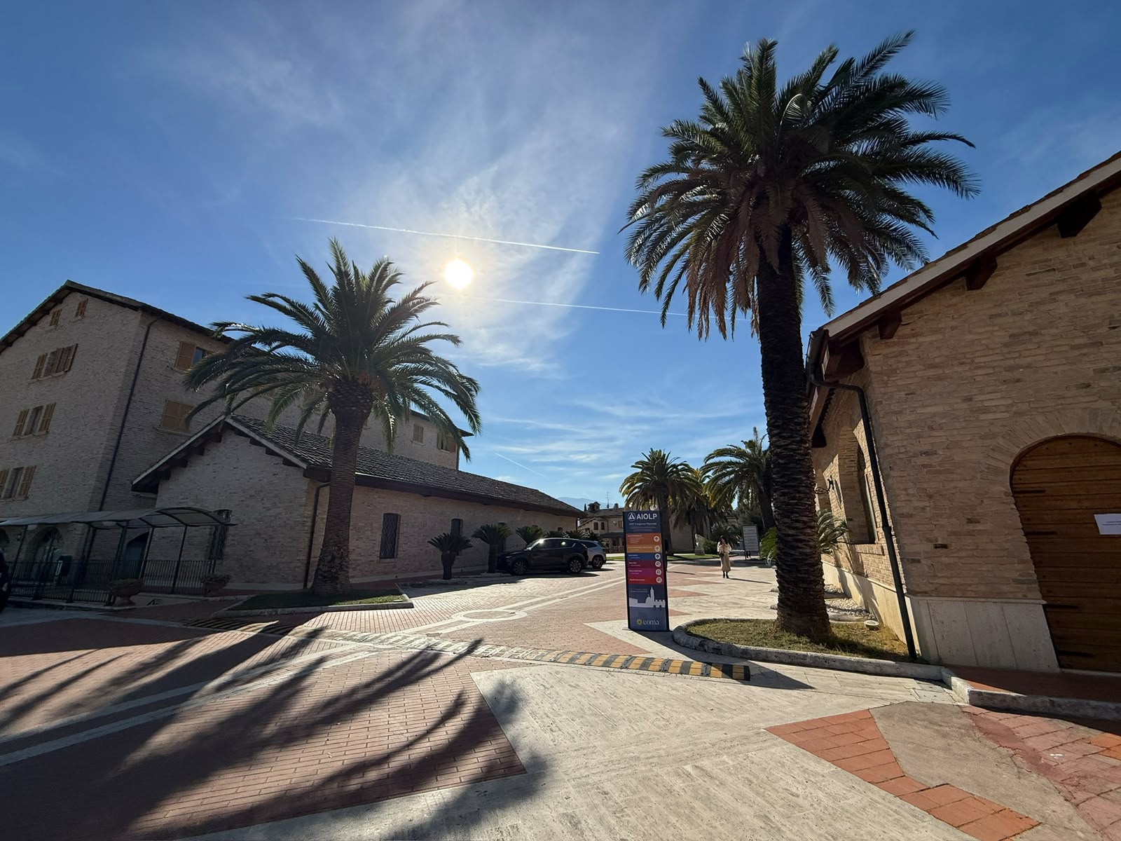Viale con palme tra gli edifici della sede congressuale, con un pannello dell’evento.